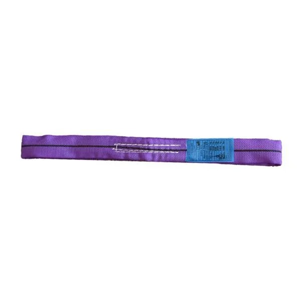 WEBBING LIFTING SLING ROUND 2mtr 1T VIOLET